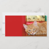 クリスマスの忍耐力 シーズンカード (正面)