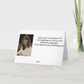 クリスマスの恵みのひ孫娘 シーズンカード (裏面)