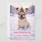 クリスマスの愛らしい一言と可愛い犬のホリデーカード シーズンカード (正面)