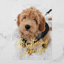 クリスマスの愛らしさ ワンフォト かわいいペット 箔シーズンカード