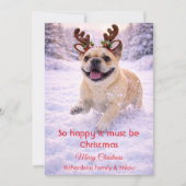 クリスマスの愛情あふれる一言が添えられたキュートな犬のホリデーカード シーズンカード (正面)