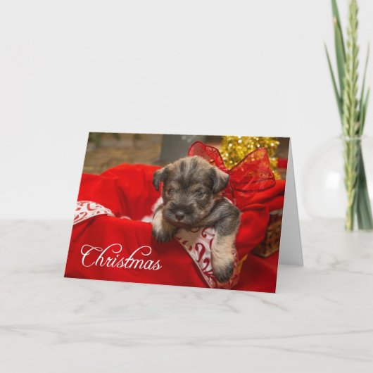 クリスマスの愛 シーズンカード (正面)