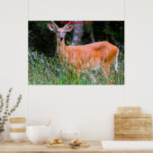 クリスマスの挨拶の深さ ポスター (キッチン)