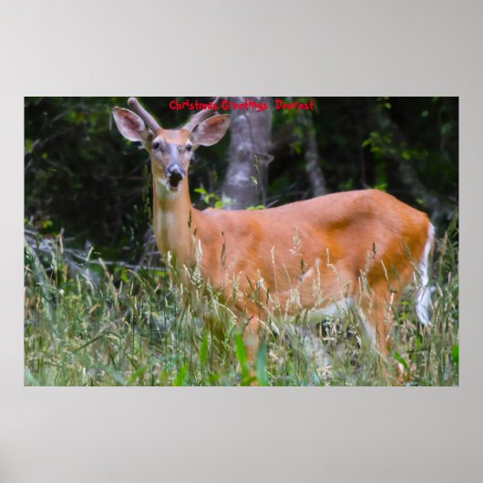 クリスマスの挨拶の深さ ポスター (正面)