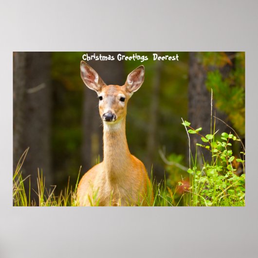 クリスマスの挨拶の深さ ポスター (正面)