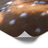 クリスマスの挨拶の深さ ポスター (角)