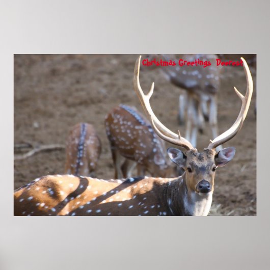 クリスマスの挨拶の深さ ポスター (正面)
