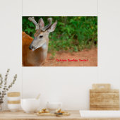 クリスマスの挨拶の深さ ポスター (キッチン)