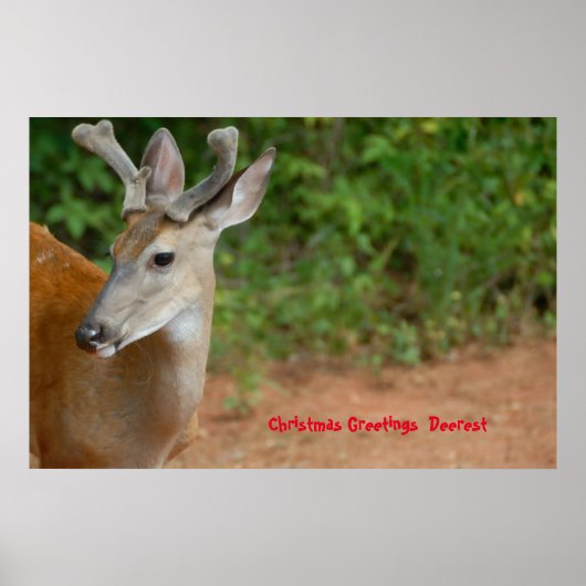 クリスマスの挨拶の深さ ポスター (正面)
