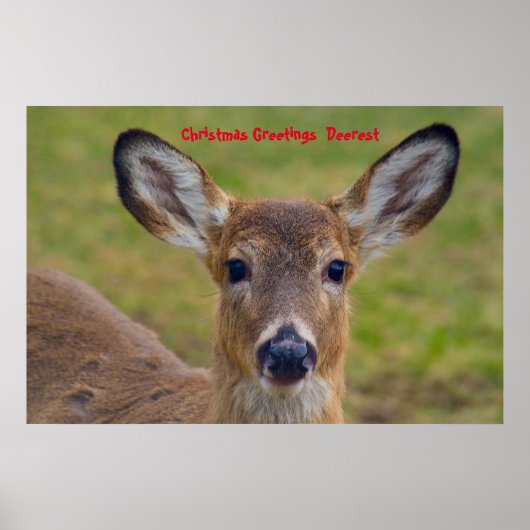 クリスマスの挨拶の深さ ポスター (正面)