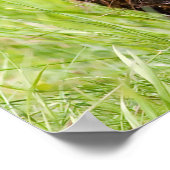 クリスマスの挨拶ビッグビーバー ポスター (角)