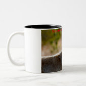 クリスマスの挨拶マイオールドコヨーテ ツートーンマグカップ (左)