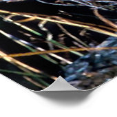 クリスマスの挨拶マイオールドコヨーテ ポスター (角)