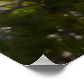 クリスマスの挨拶マイオールドコヨーテ ポスター (角)