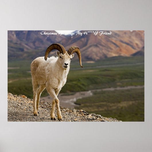 クリスマスの挨拶マイハニーフレンド ポスター (正面)