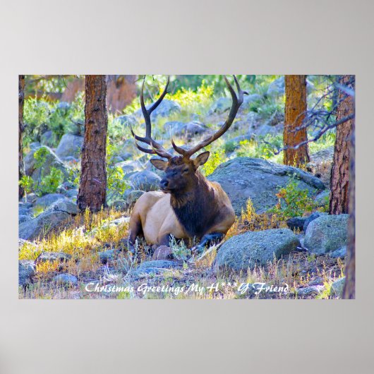 クリスマスの挨拶マイハニーフレンド ポスター (正面)