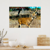 クリスマスの挨拶マイビッグスタッグ ポスター (キッチン)