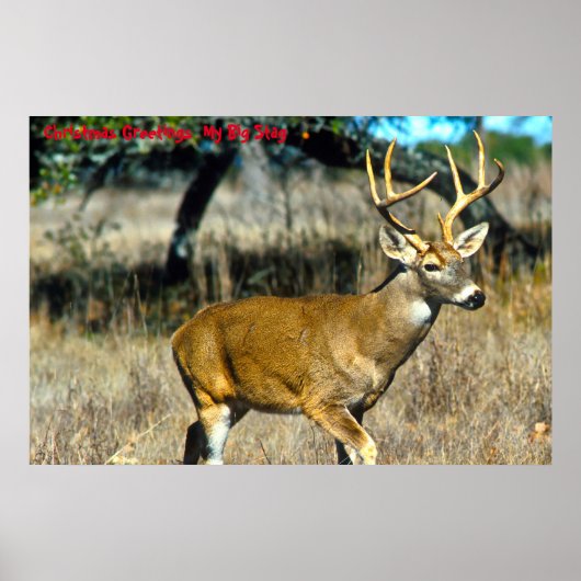 クリスマスの挨拶マイビッグスタッグ ポスター (正面)