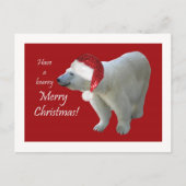 クリスマスの挨拶状の白くまサンタ シーズンポストカード (正面)