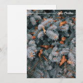 クリスマスの挨拶 ホリデー カード (正面/裏面)