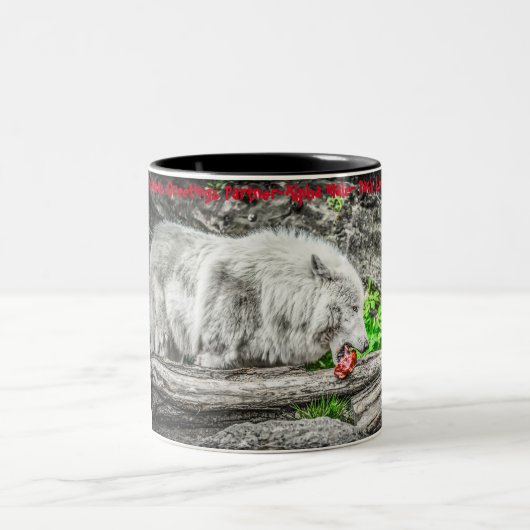 クリスマスの挨拶「私のパートナー」「アルファオス」 ツートーンマグカップ (中央)