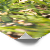 クリスマスの挨拶LMyリトルビーバー ポスター (角)