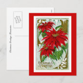 クリスマスの挨拶Pointsettia シーズンポストカード (正面/裏面)