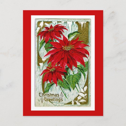 クリスマスの挨拶Pointsettia シーズンポストカード (正面)