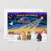 クリスマスの日の出 – 5匹の猫(AmSH) シーズンポストカード (正面/裏面)