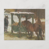 クリスマスの日の馬 シーズンポストカード (正面)