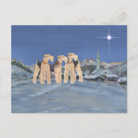 クリスマスの星 シーズンポストカード (正面)