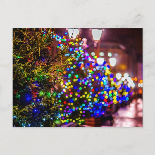 クリスマスの木々の通り ポストカード (正面)