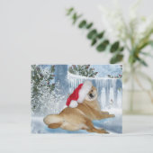 クリスマスの柴犬の郵便はがき シーズンポストカード (スタンド正面)