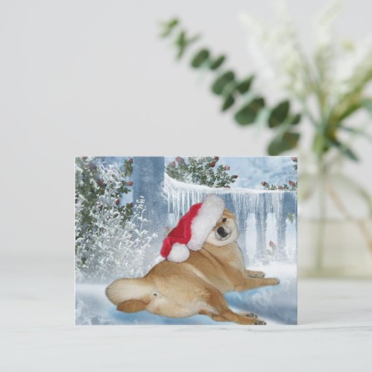 クリスマスの柴犬の郵便はがき シーズンポストカード (スタンド正面)