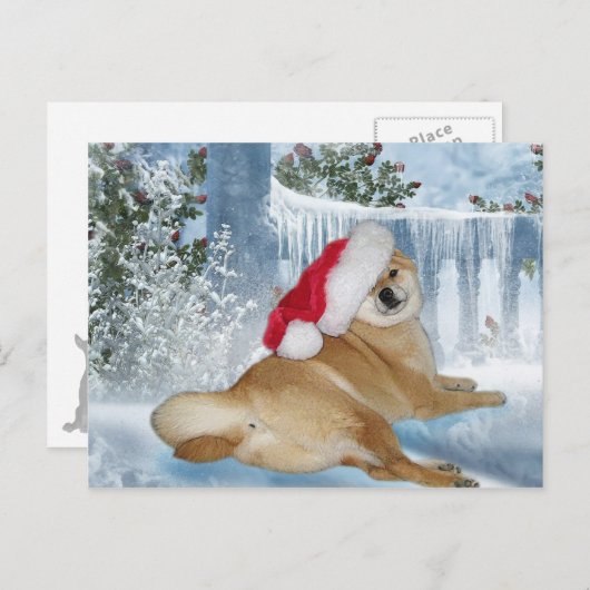 クリスマスの柴犬の郵便はがき シーズンポストカード (正面/裏面)