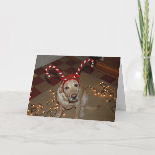 クリスマスの歓喜! シーズンカード (正面)