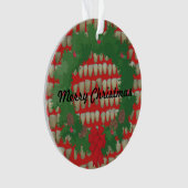 クリスマスの歯科医の歯科矯正医の歯科衛生士 オーナメント (正面)