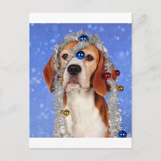 クリスマスの災難 シーズンポストカード (正面)