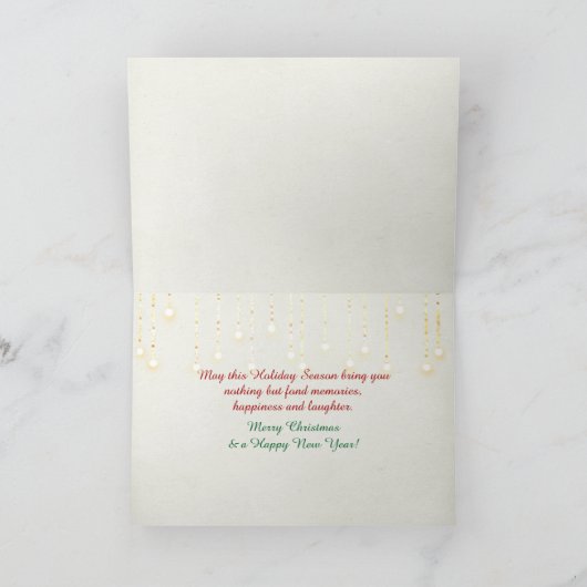 クリスマスの照明が付いている冬の窓のRagdoll猫 カード (内部)