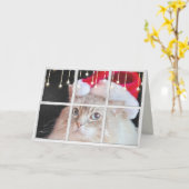 クリスマスの照明が付いている冬の窓のRagdoll猫 カード (黄色い花)