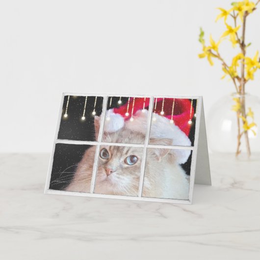 クリスマスの照明が付いている冬の窓のRagdoll猫 カード (黄色い花)