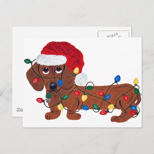 クリスマスの照明で(赤い)もつれるダックスフント シーズンポストカード (正面/裏面)