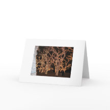 クリスマスの照明