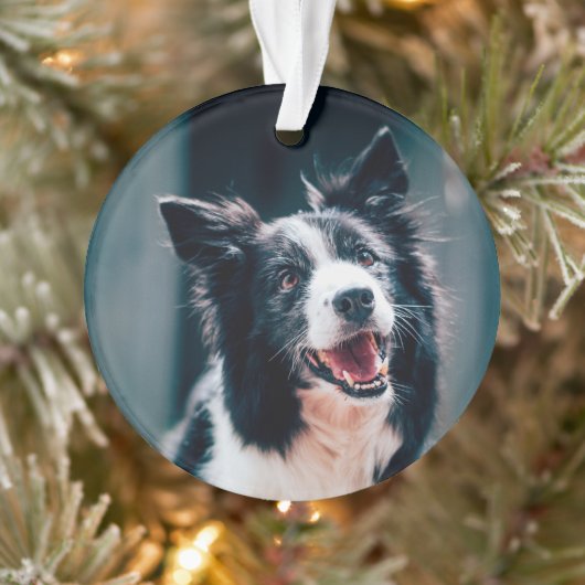 クリスマスの犬の写真 オーナメント (ツリー)