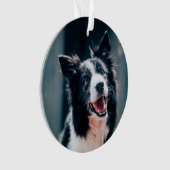 クリスマスの犬の写真 オーナメント (正面)