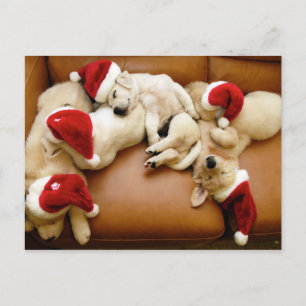 クリスマスの犬の日 シーズンポストカード
