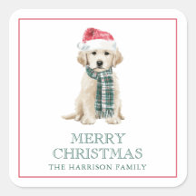 クリスマスの犬ギフト同梱