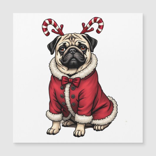 クリスマスの犬愛好家のためのサンタ服を着たパブドッグ (正面)