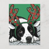 クリスマスの犬 ポストカード (正面)