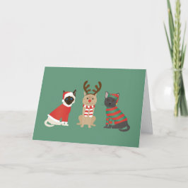 クリスマスの猫たち シーズンカード